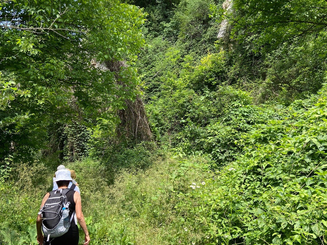 The Black Stork Hotel主图