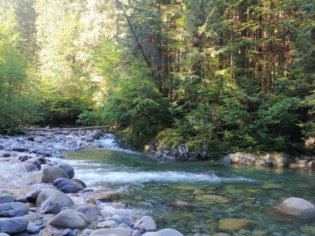 Lynn Headwaters Regional Park-北温哥华必去景点