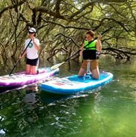 Stand Up Paddle Boarding Shellharbour景点图片