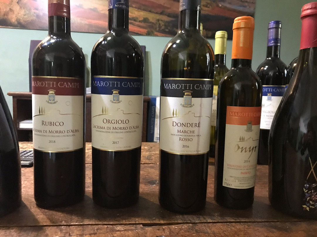 Marotti Campi-Morro d'Alba必去景点