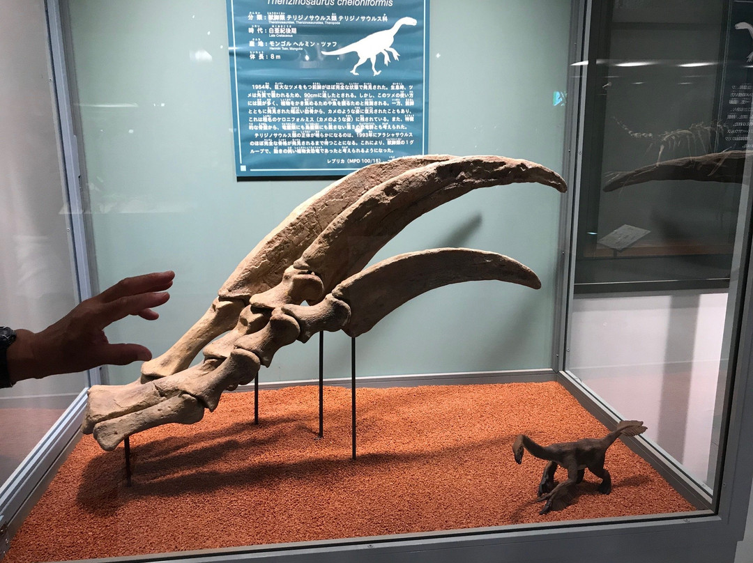 Kannamachi Dinosaurs Center景点图片