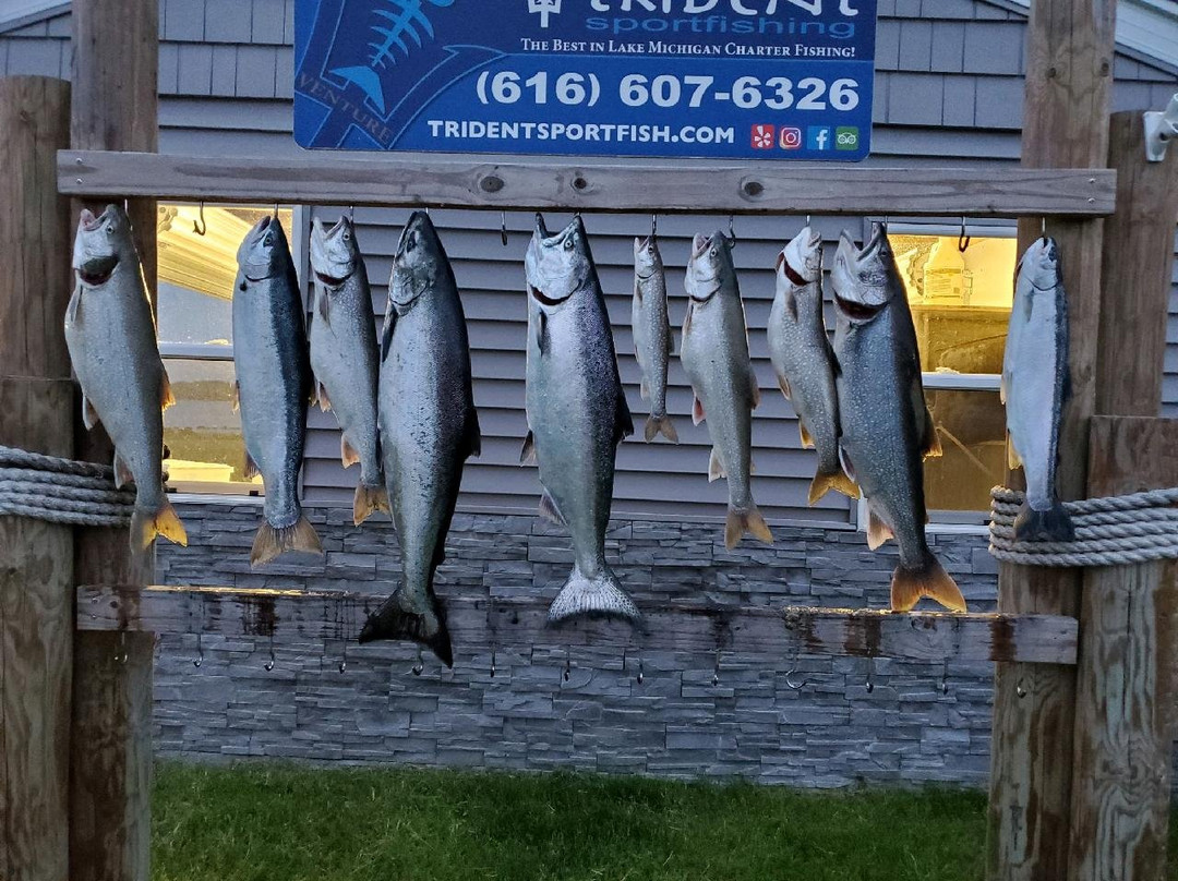 Trident Sportfishing景点图片