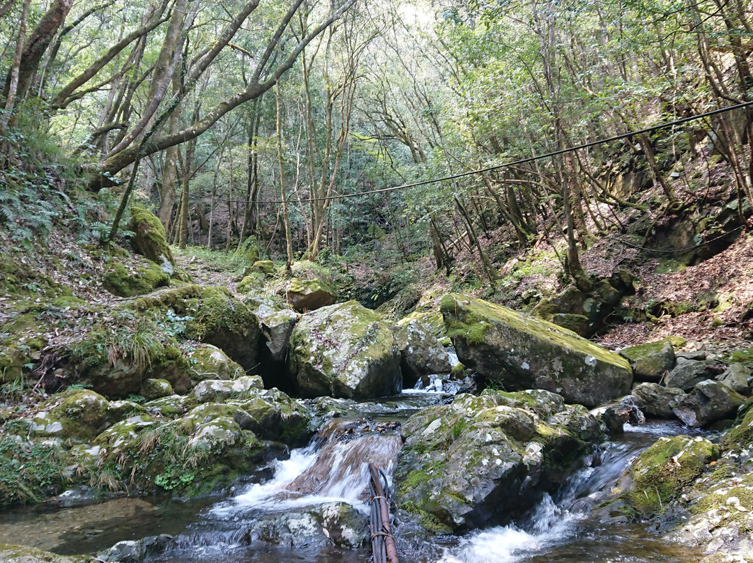 Chomonkyo Gorge景点图片