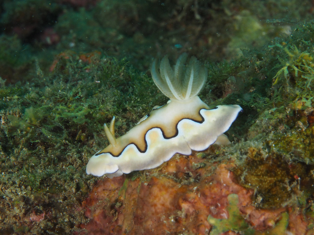 水上冒险乐园礁俱乐部酒店主图