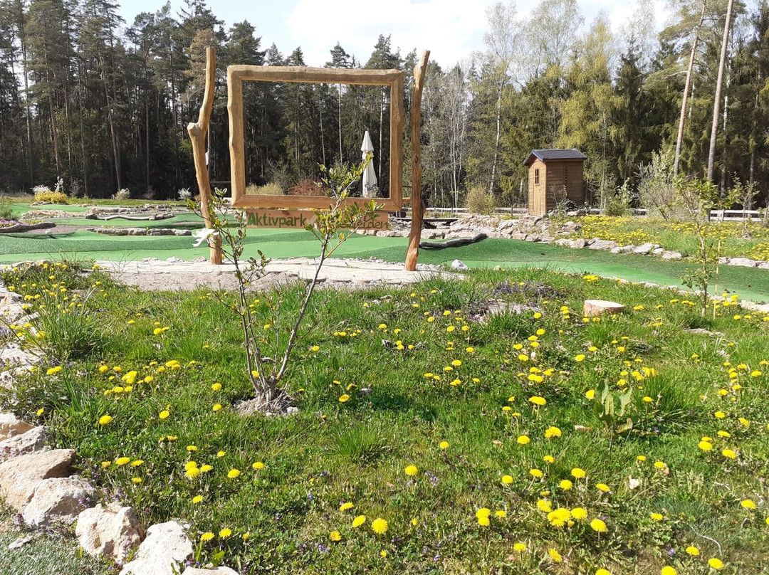 Aktivpark Hohenfelden-Hohenfelden必去景点