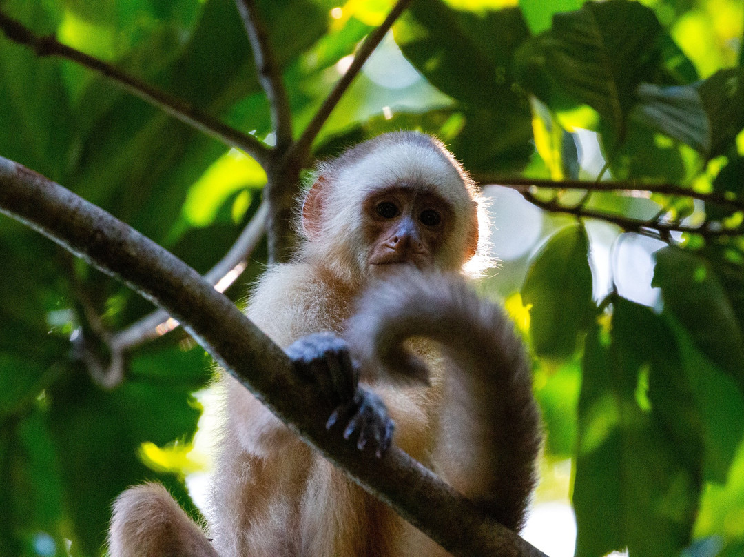 Bush Bush Wildlife Sanctuary-Mayaro必去景点