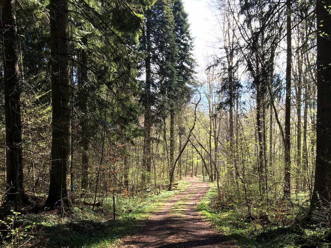 Woods & Water of Sweden-Vadstena必去景点