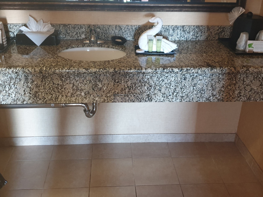 卡索假日酒店和套房主图