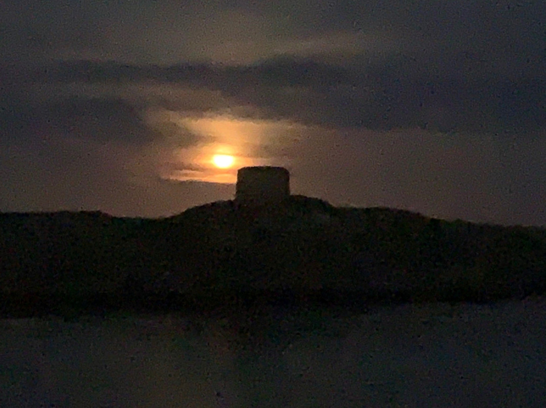 Martello Tower-达尔基必去景点