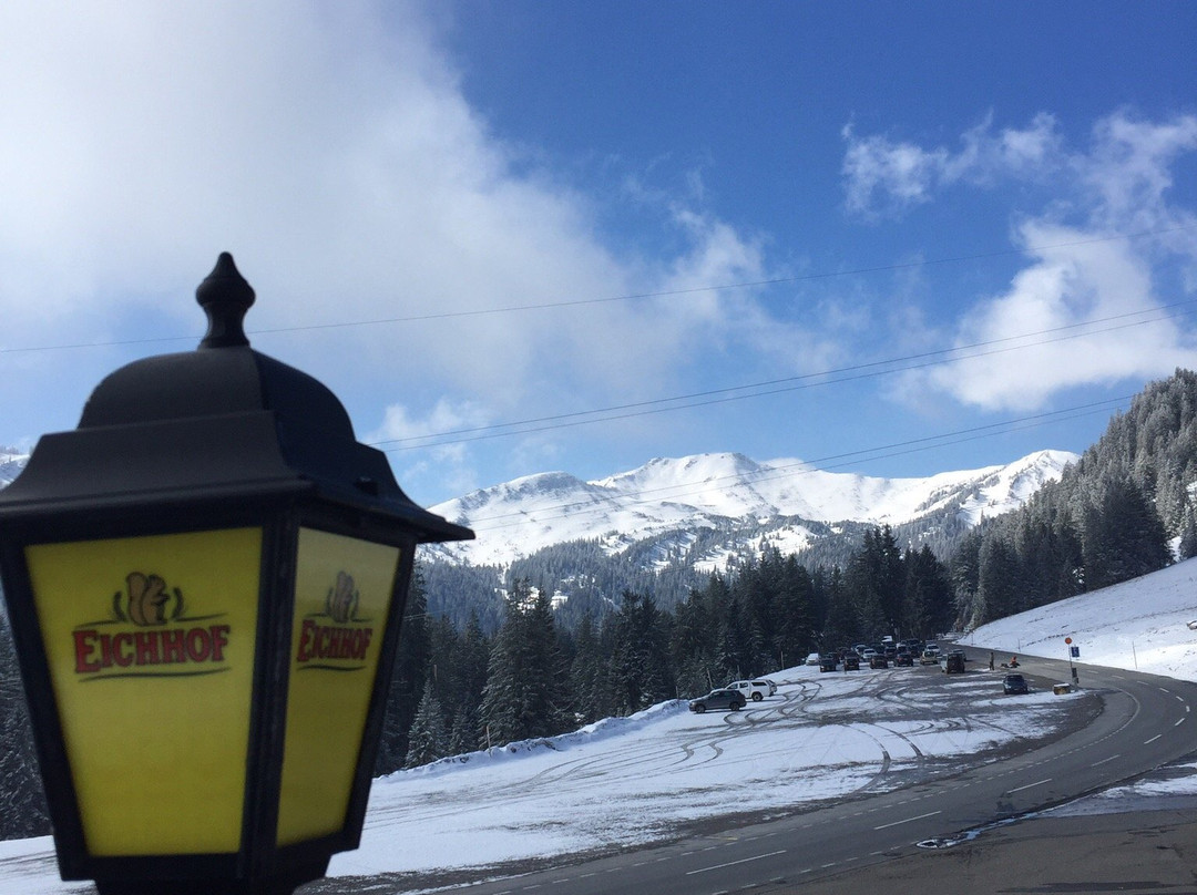 Stalden酒店住宿-Berghotel Langis