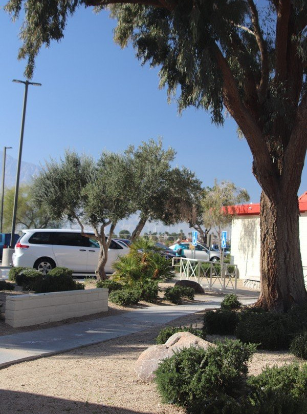 Desert Hot Springs Library-沙漠温泉必去景点