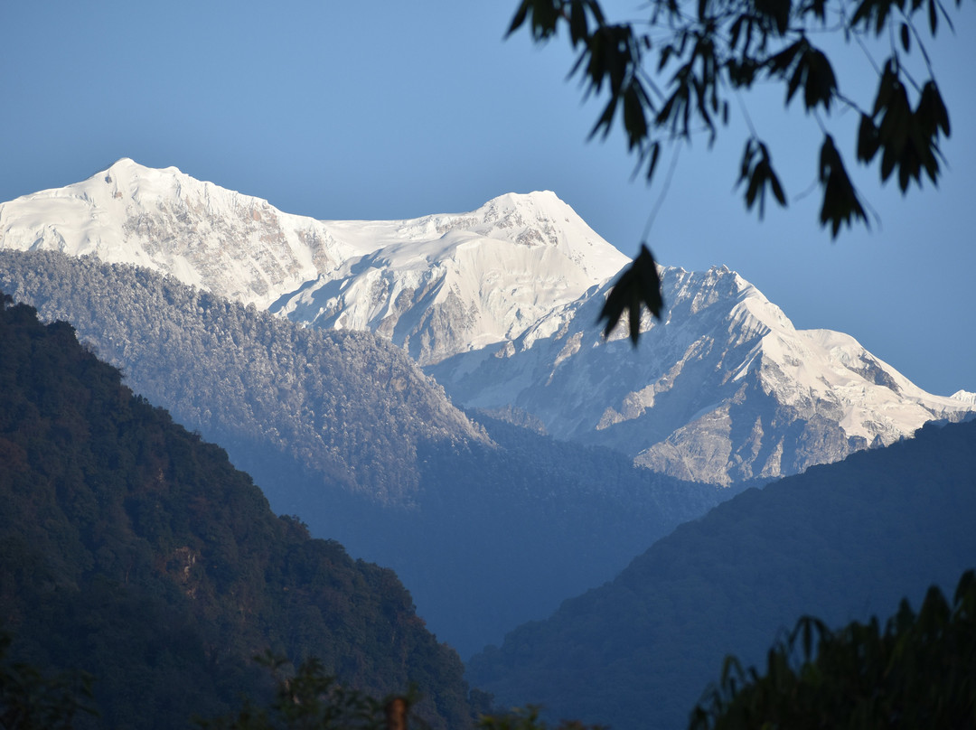 Hotel Red Palace Hotel & Resort主图