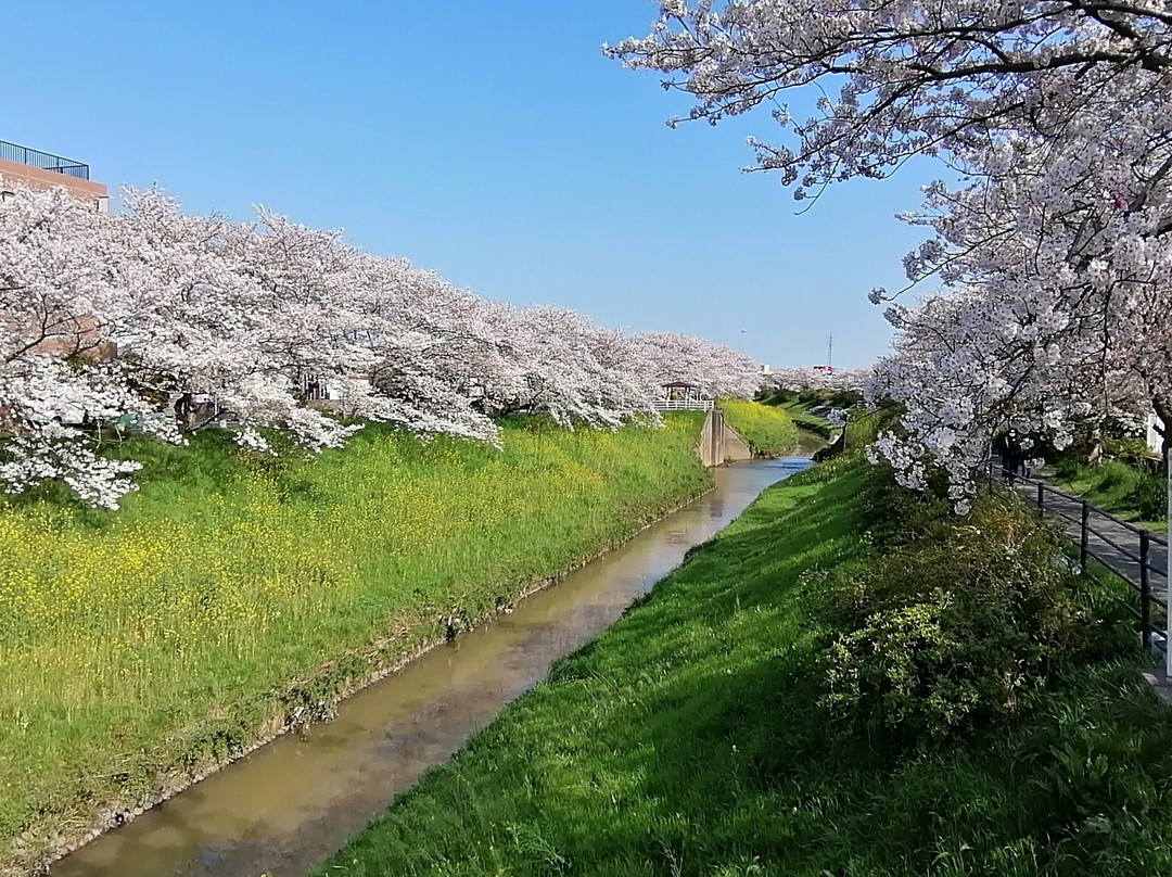 Toyoda River-茂原市必去景点