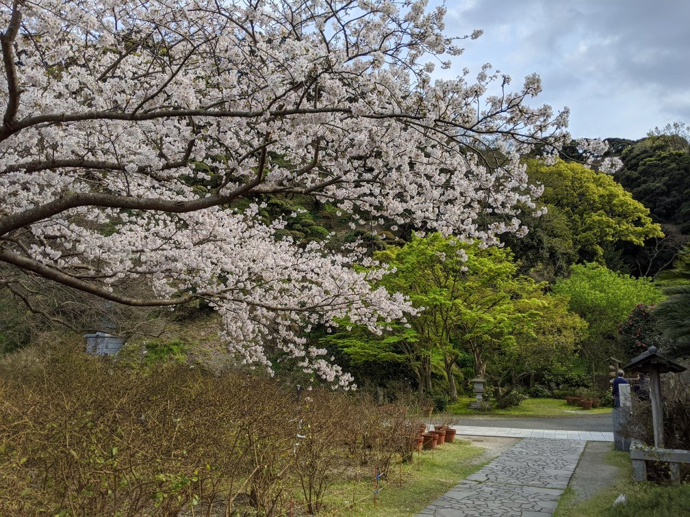 Ryosenji Temple景点图片