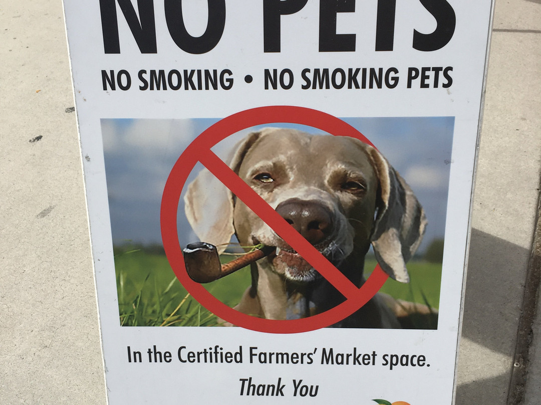 Certified Farmers Market La Quinta-拉金塔必去景点