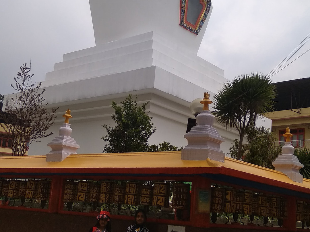 Do Drul Chorten Stupa景点图片