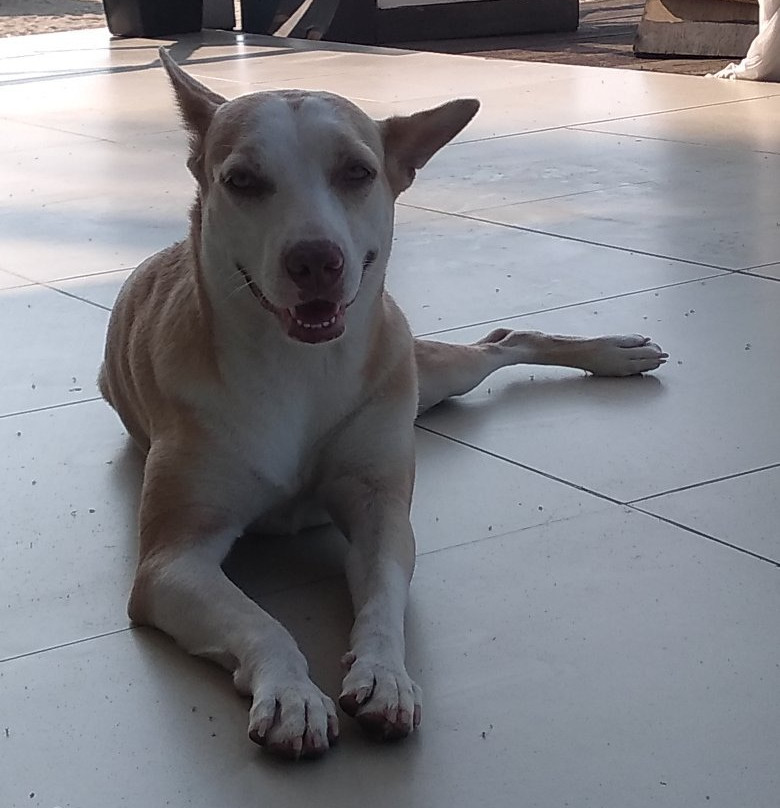 Brezza Casa D'Mare主图