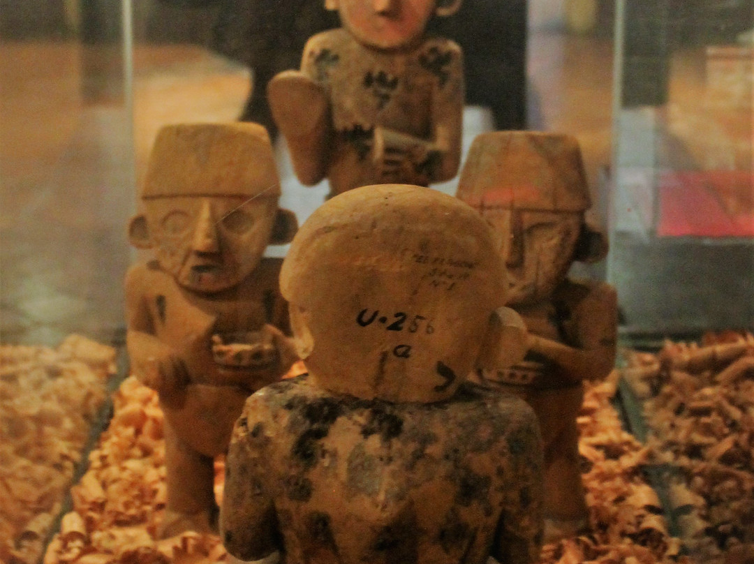 Museo de Arqueología de la Universidad Nacional de Trujillo景点图片