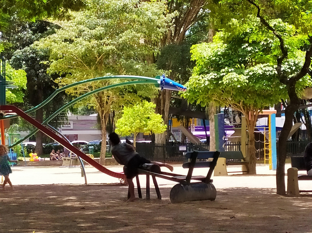 Parque Santos Dumont景点图片