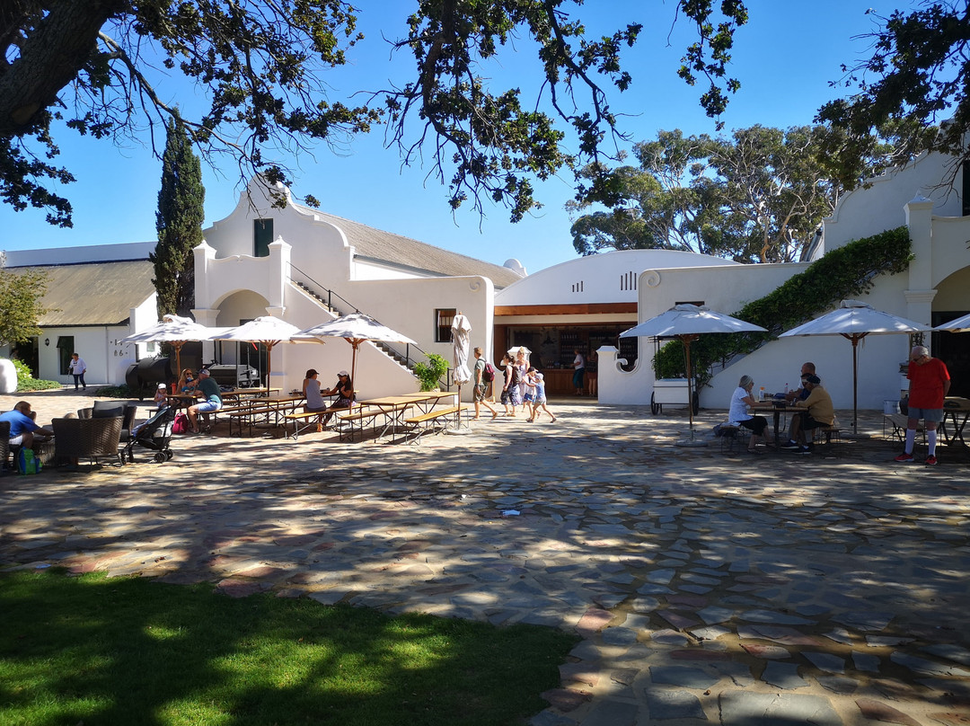 Vergenoegd Low Wine Estate-斯泰伦博斯必去景点