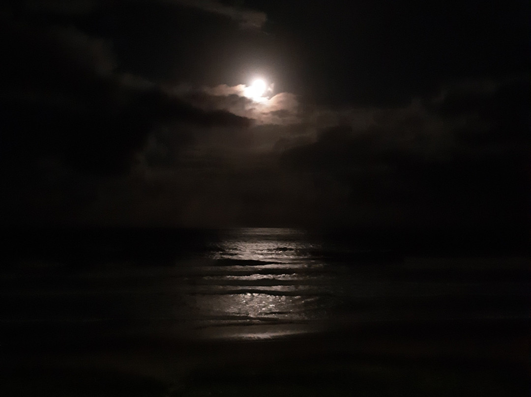 斯平德里夫特海滩公寓酒店主图