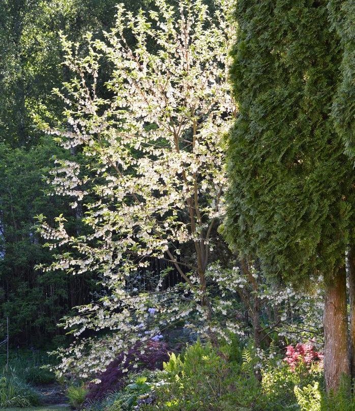 Nyhagens Tradgard-Lekvad必去景点