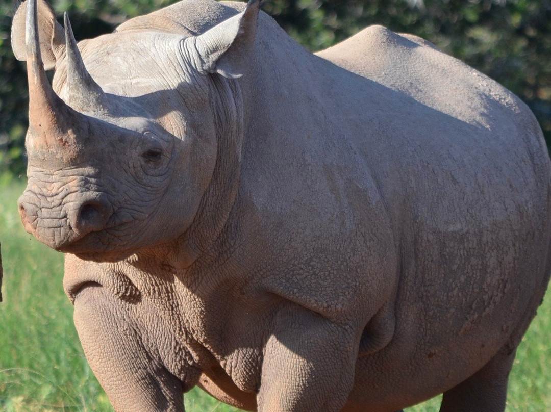 Eagles Crag Lodge主图