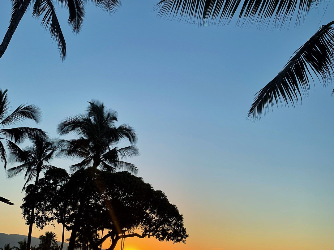 Haleiwa Alii Beach Park景点图片