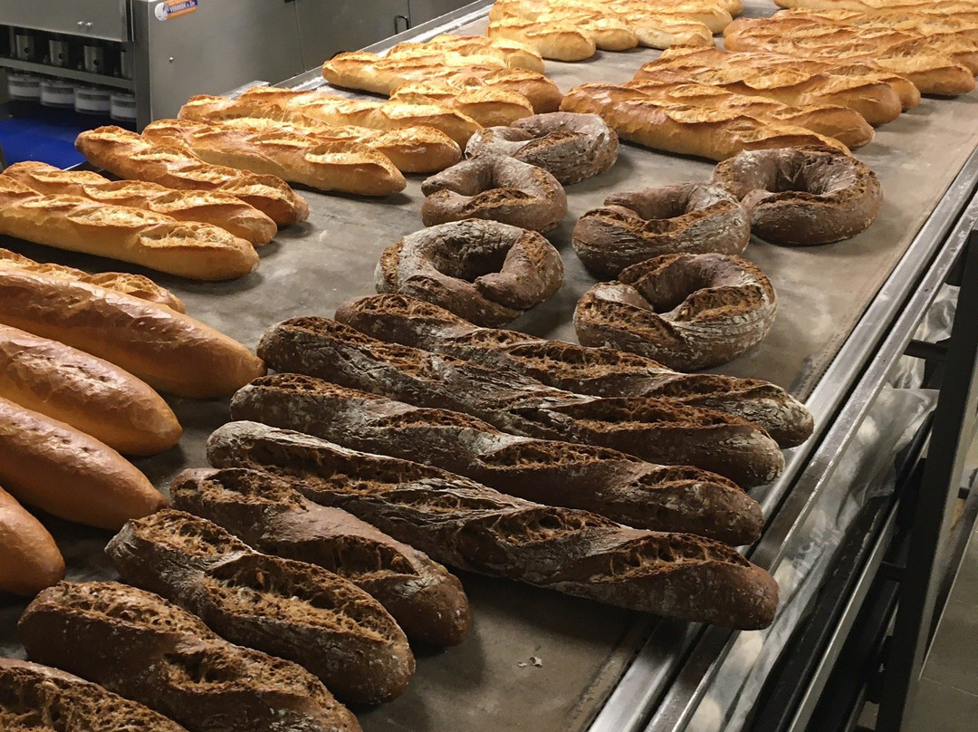 Moorsel België-Moorsel必去景点