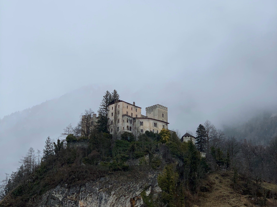 Schloss Weißenstein景点图片