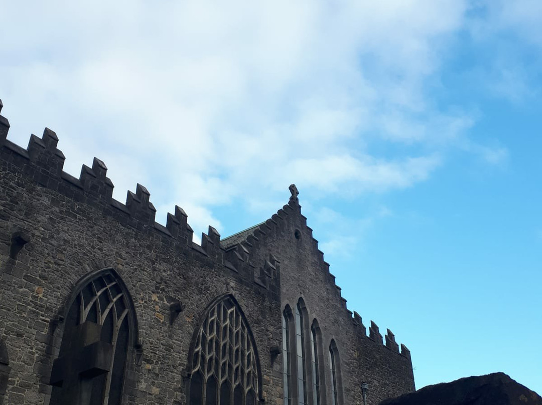 Limerick City Walking Tour-利默里克必去景点