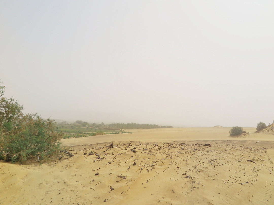Old Bawiti White desert景点图片