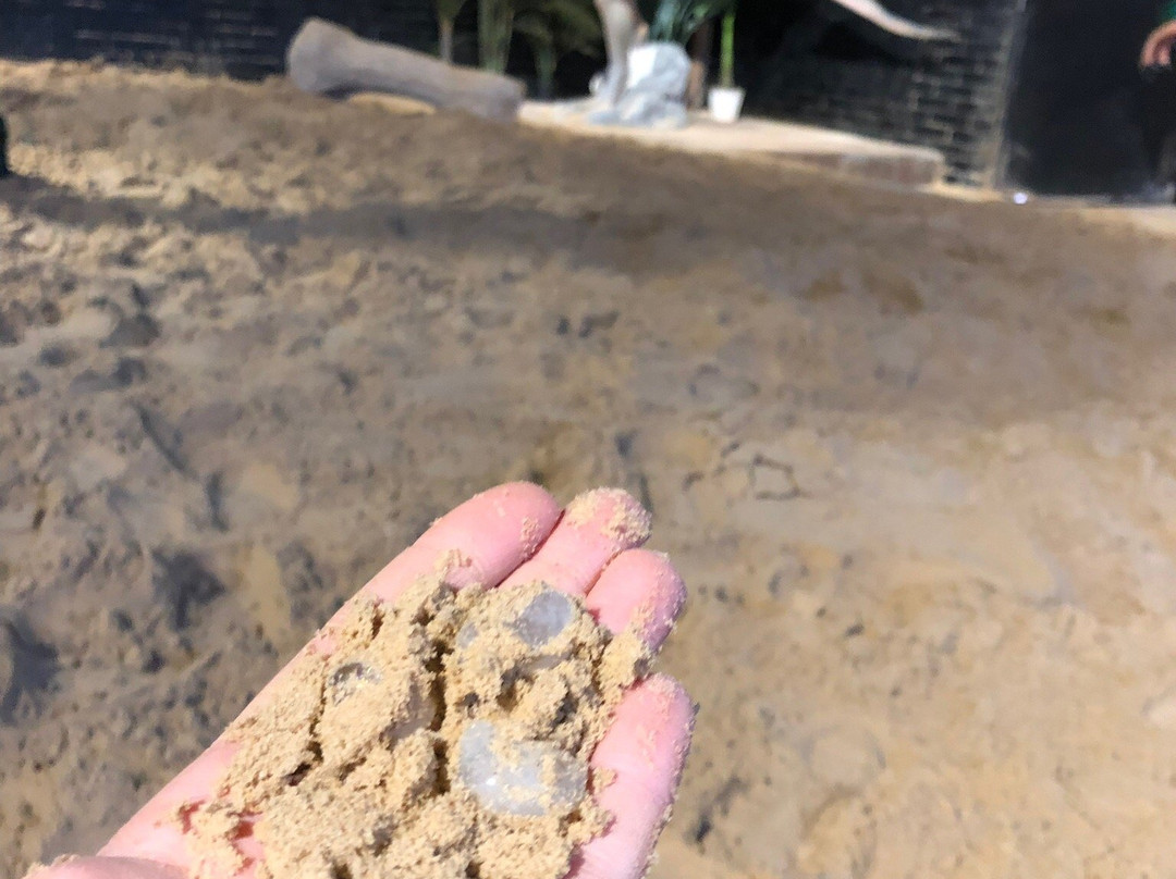 Dino Dig-Murfreesboro必去景点