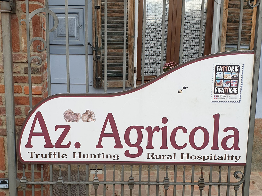 Azienda Agricola Aloi Luca景点图片