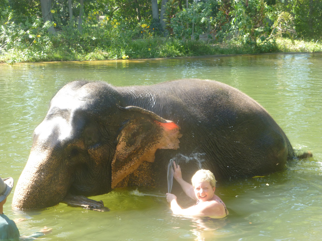 Mr. Moo Khao-Lak Tour - Private Day Tours-拉克山必去景点
