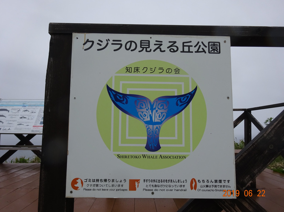 Kujira no Mieru Oka Park景点图片