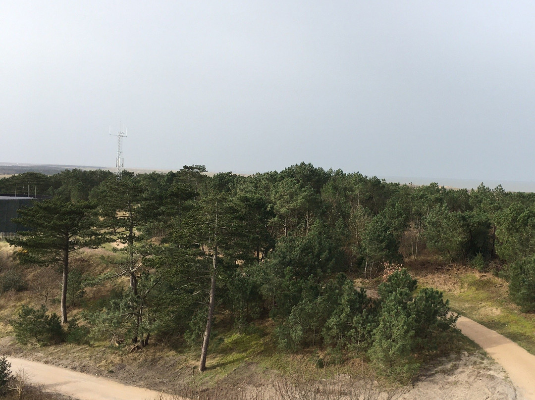 Vuurtoren Vlieland景点图片