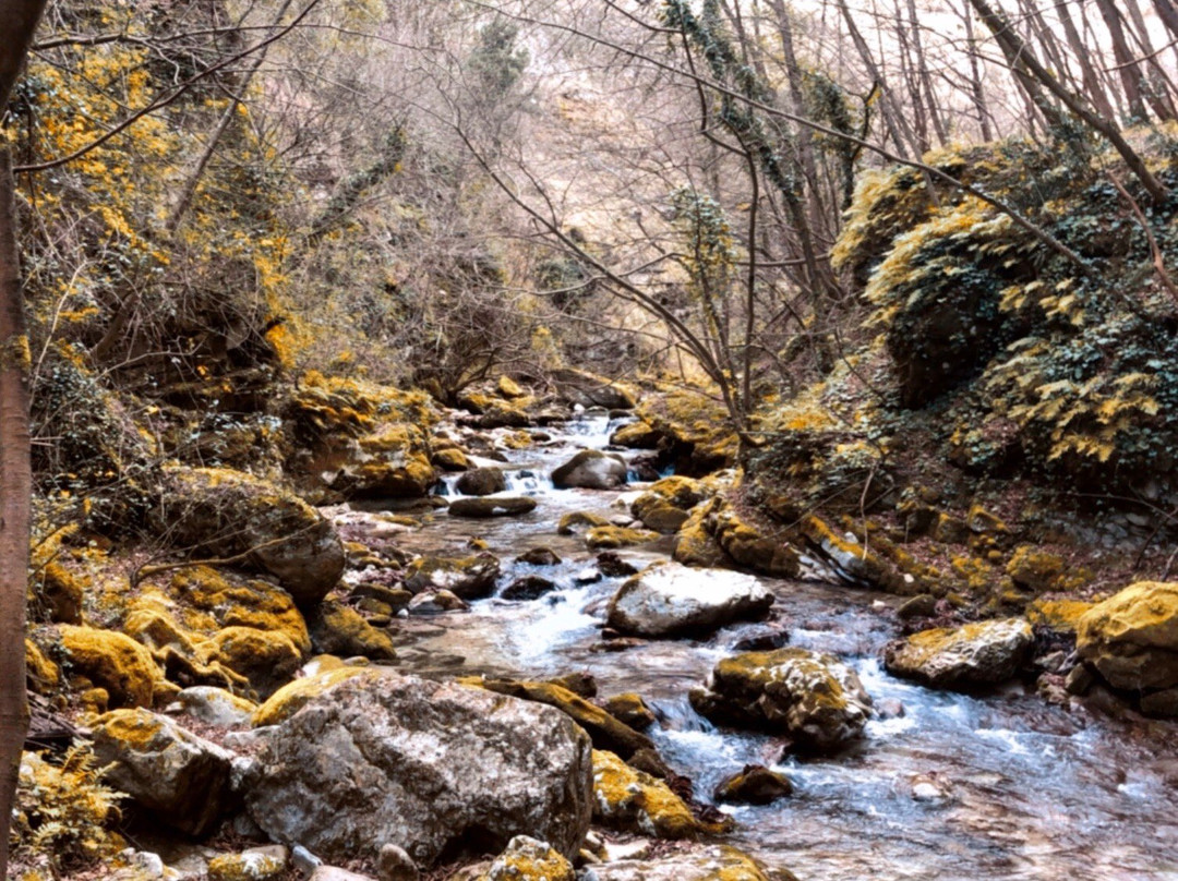 Centro Visita Valle dell'Orfento景点图片