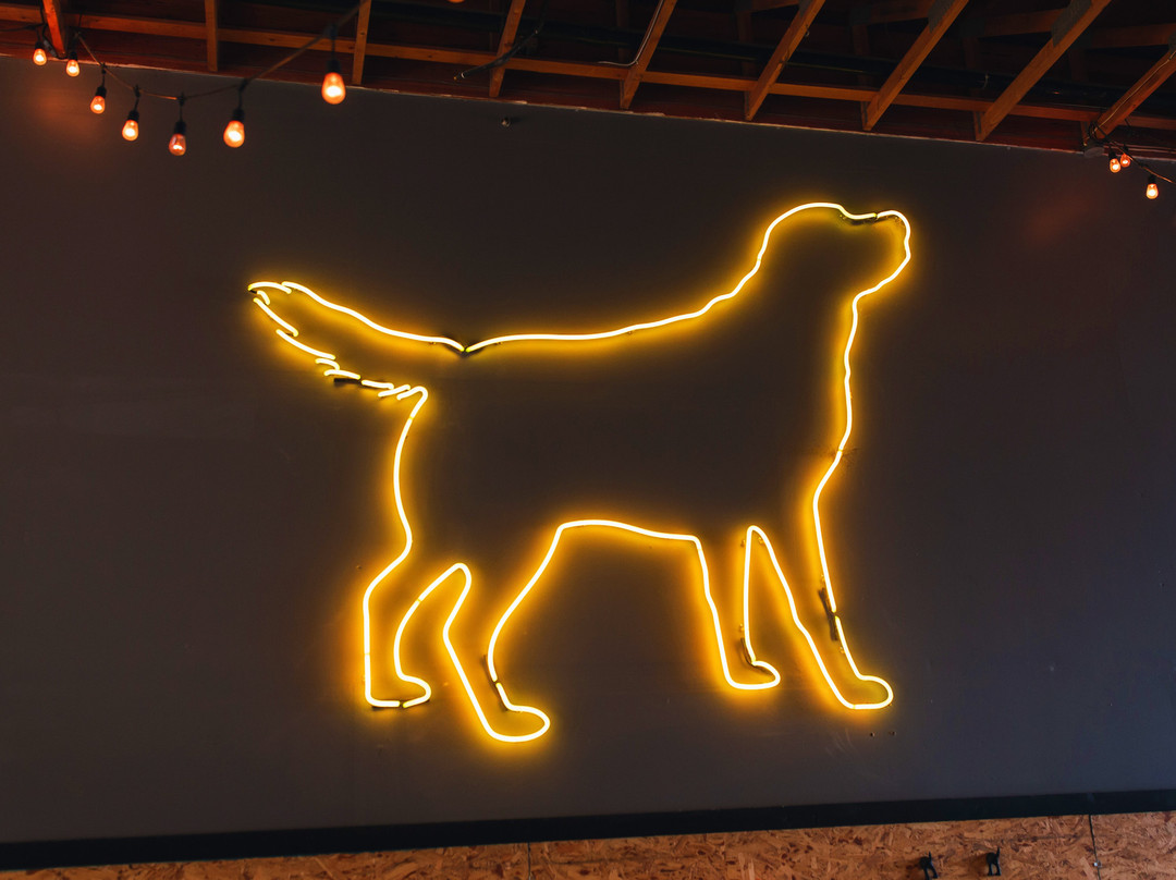 Yellow Dog Brewing Co.-穆迪港必去景点