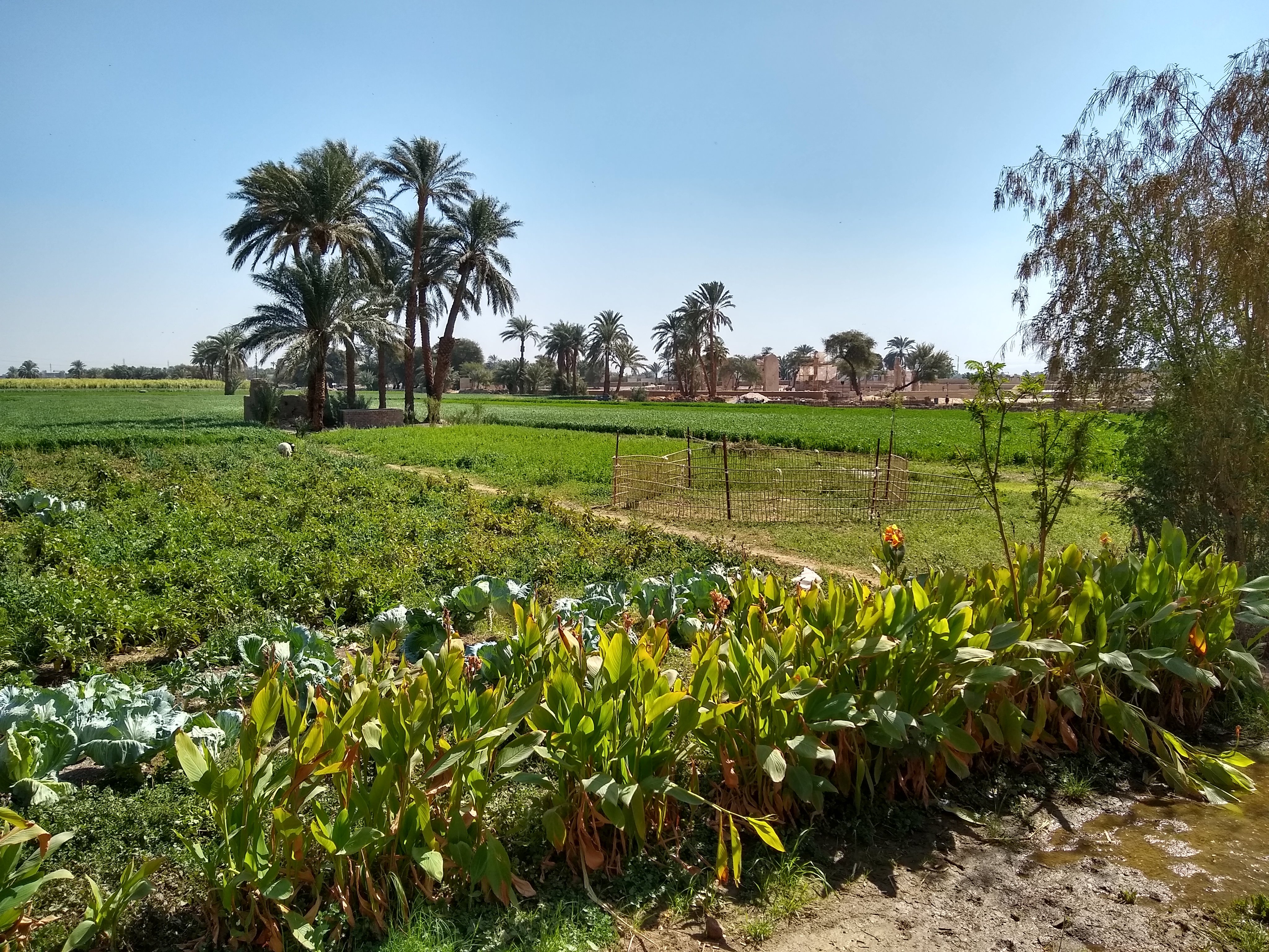 Marsam Hotel Luxor-浴室
