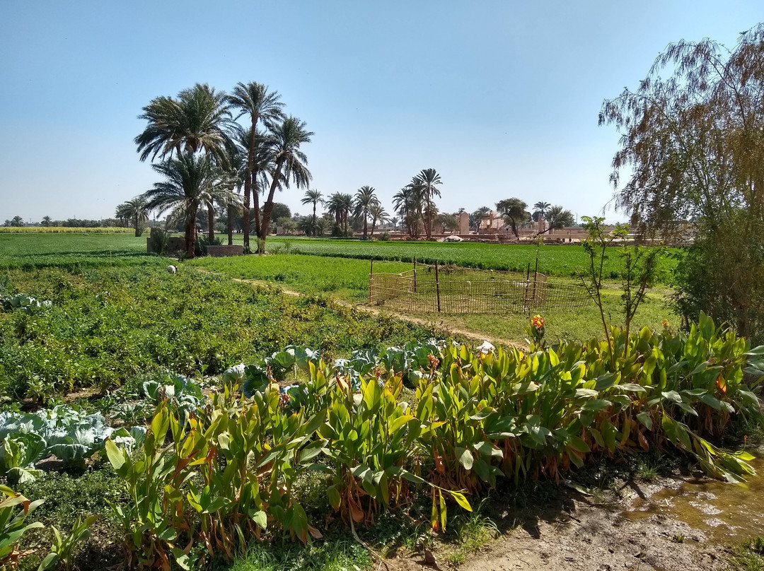 Marsam Hotel Luxor主图