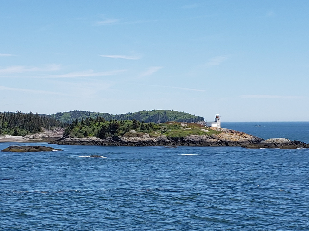 Pea Point Island Lighthouse景点图片