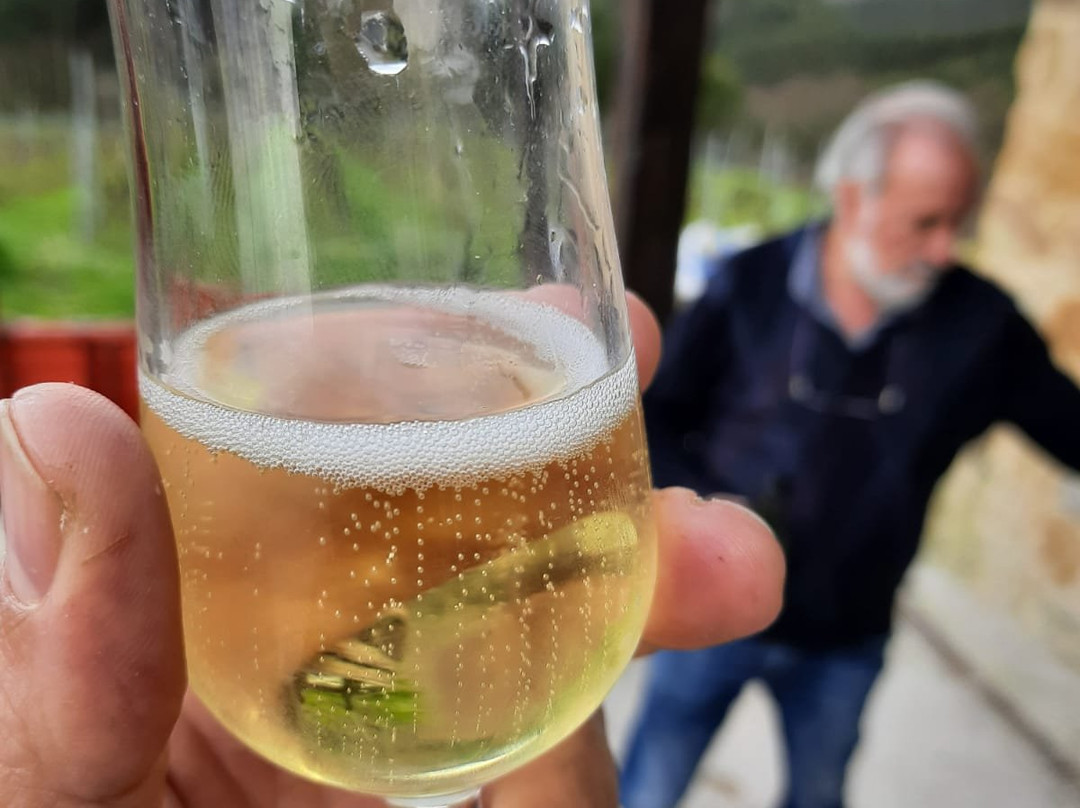 Enoturismo Bodegas Vidular-Barcena De Cicero必去景点