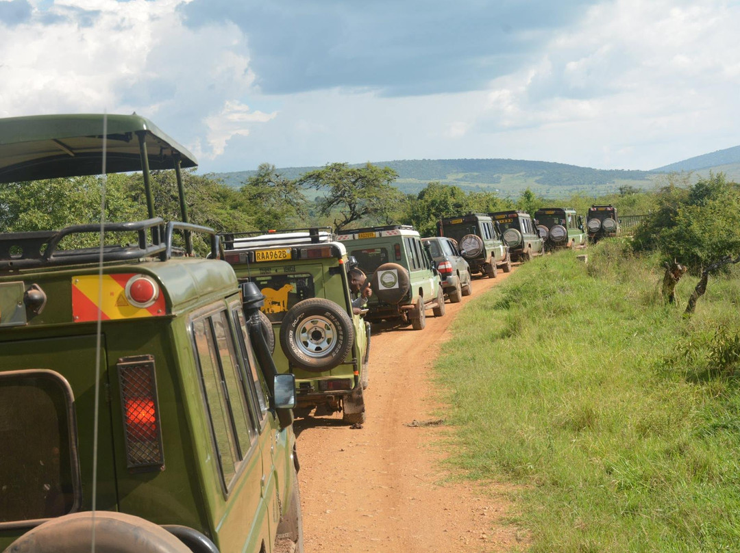 A Step Into Nature Tours-吉佳利必去景点