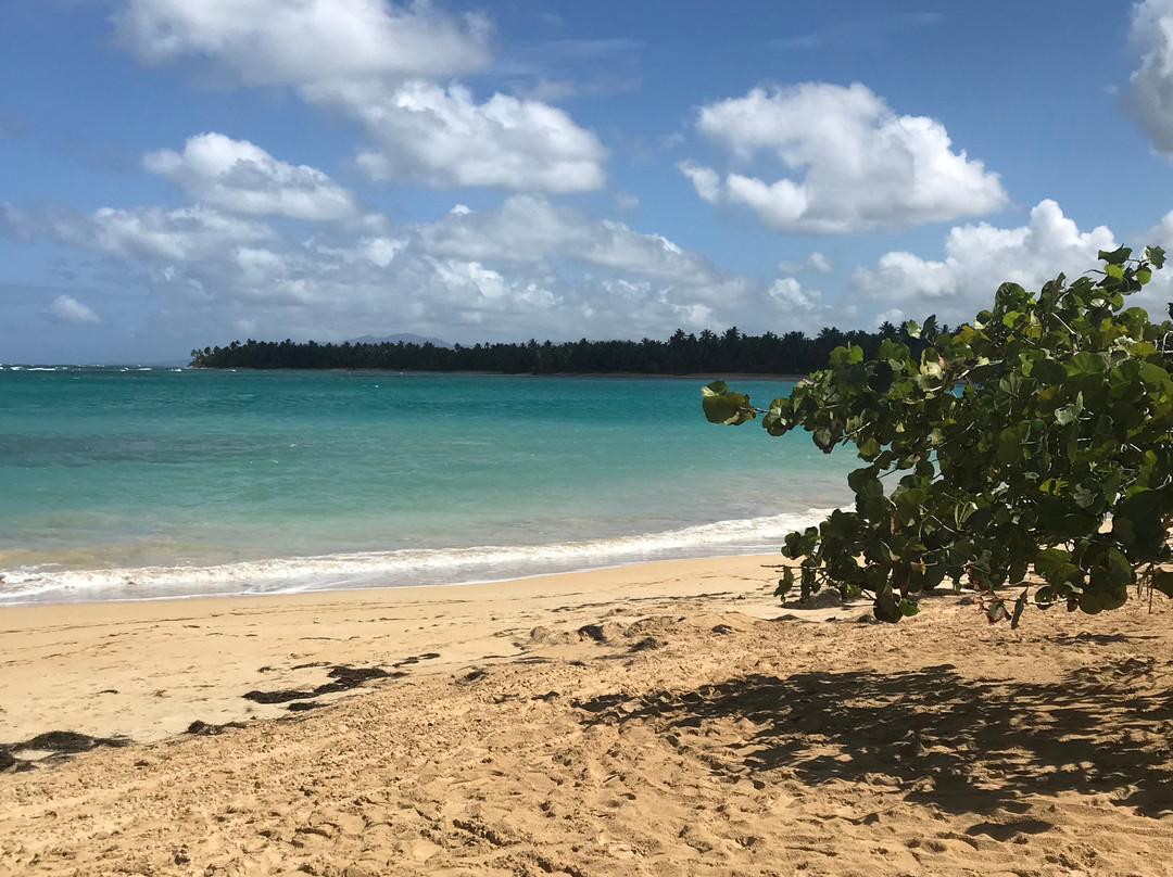 Albachiara Hotel主图