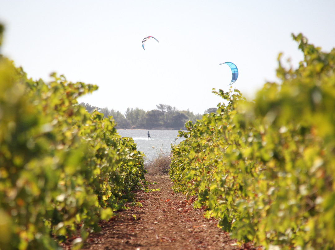 Kite Lab - Kitesurfing School in Sicily-马尔萨拉必去景点