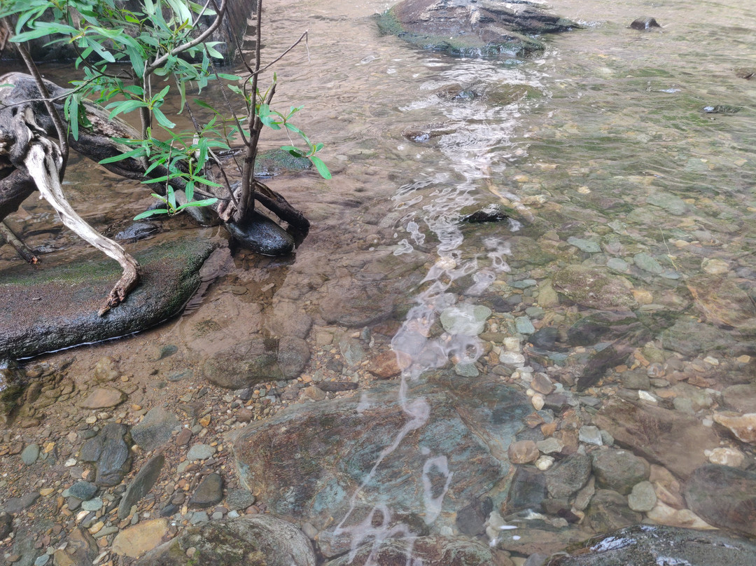 Koodlu Theertha Falls景点图片