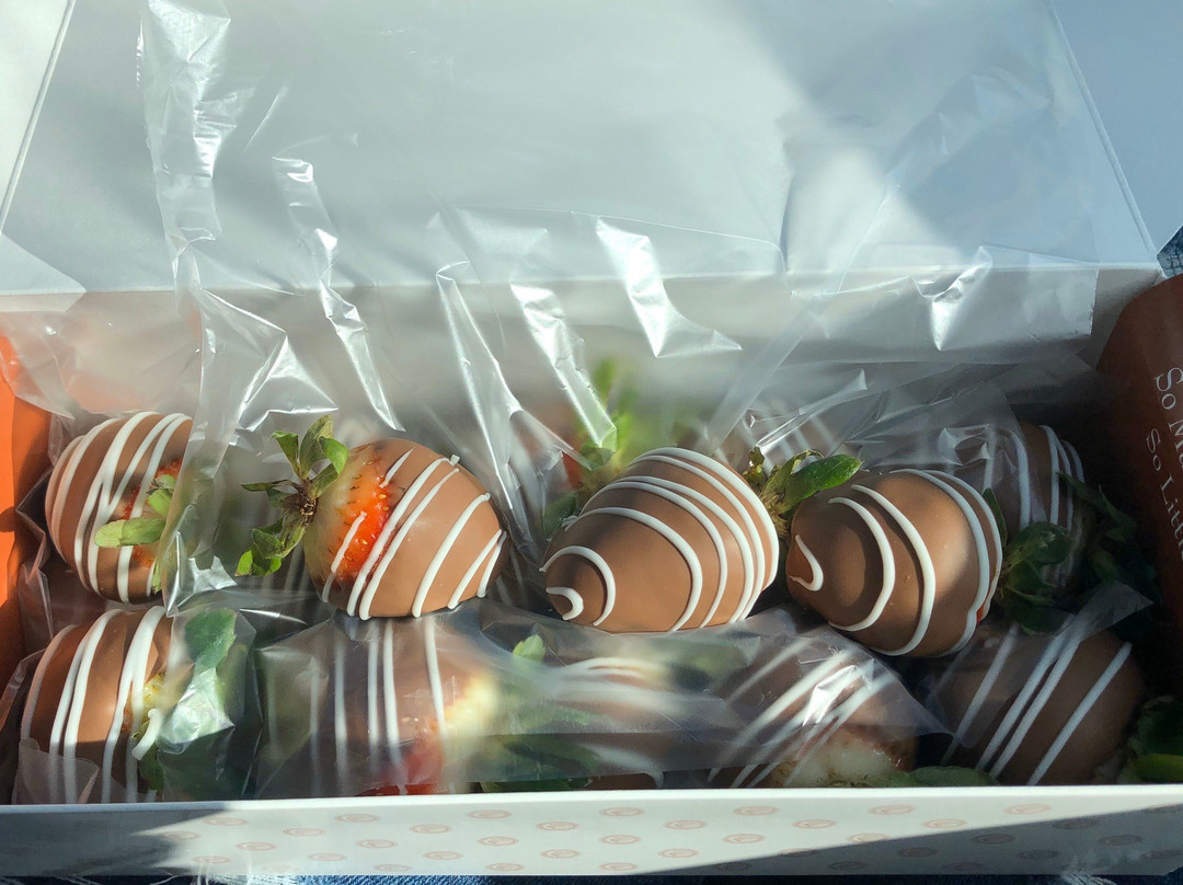 Coblentz Chocolate Company景点图片
