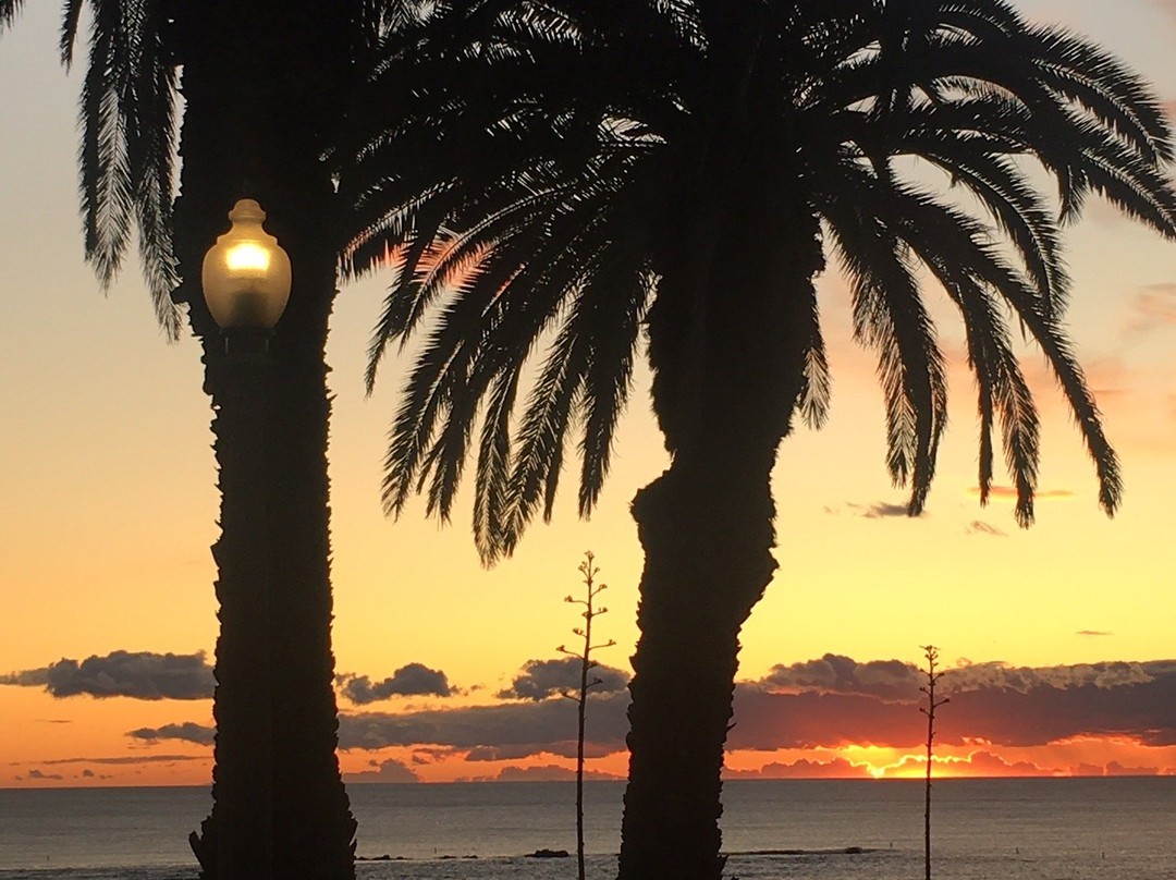 VAS Transportation LLC-园林必去景点