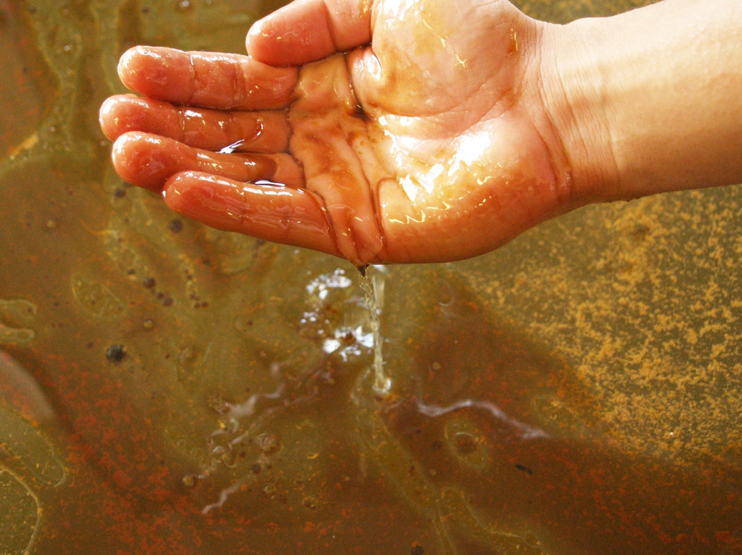 Toyotomi Onsen Fureai Center-丰富町必去景点